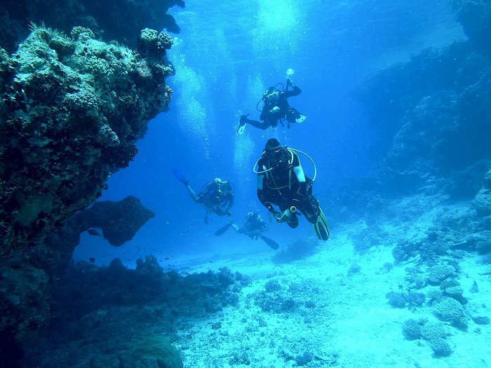 Diving near your La Manga Club apartment