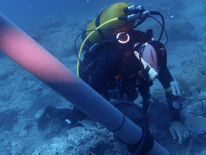 fenicios expo properties la manga club