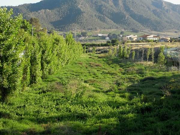 route through the regional park of el valle close to your property at la manga club