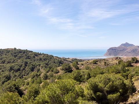 Vista campo sur de golf